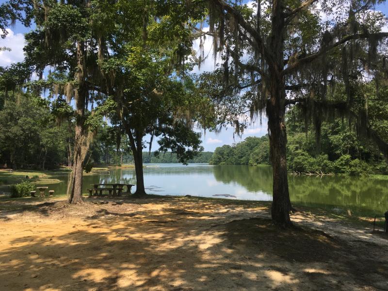 Dale County PFL Outdoor Alabama