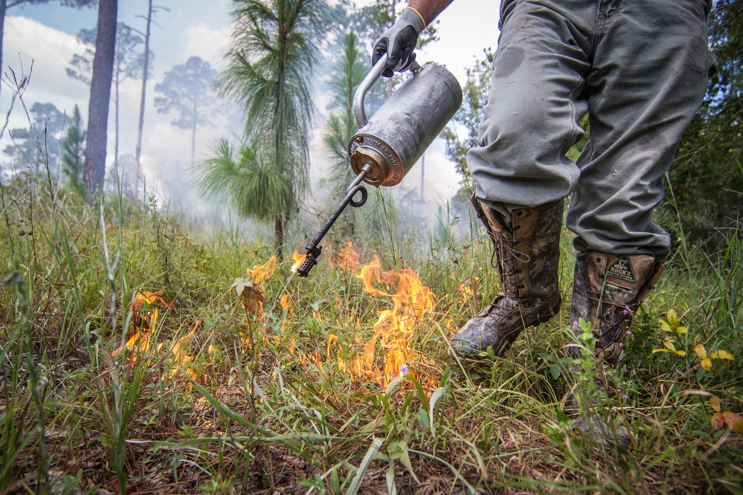 Prescribed Fire Planned at Wind Creek State Park in March