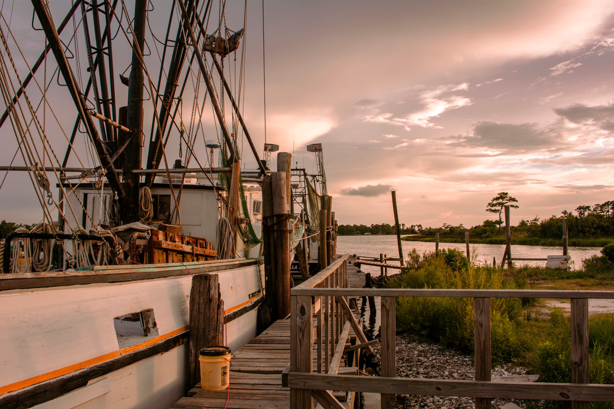 Alabama State Waters Open for Shrimping on June 1