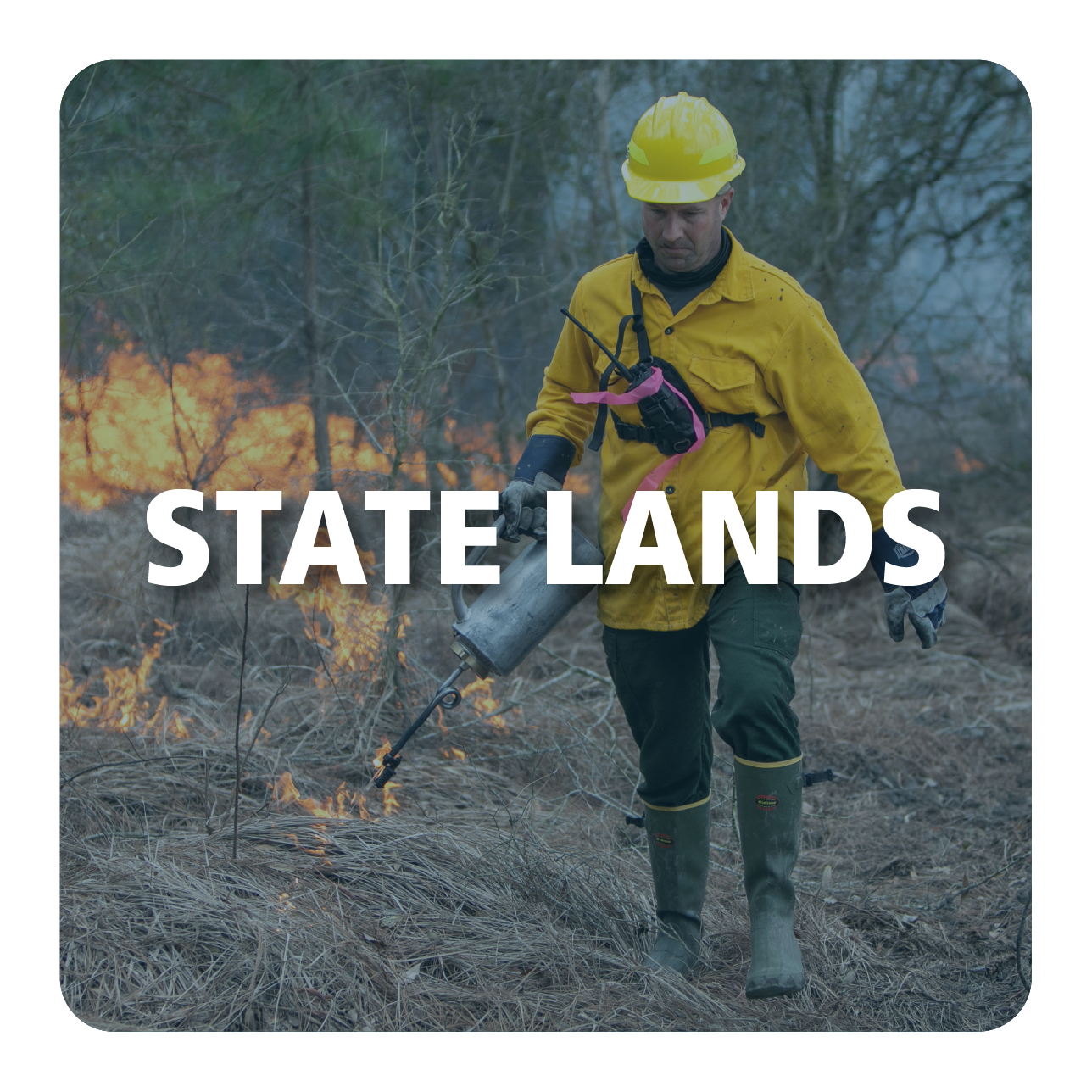 State Lands Career Button and Link