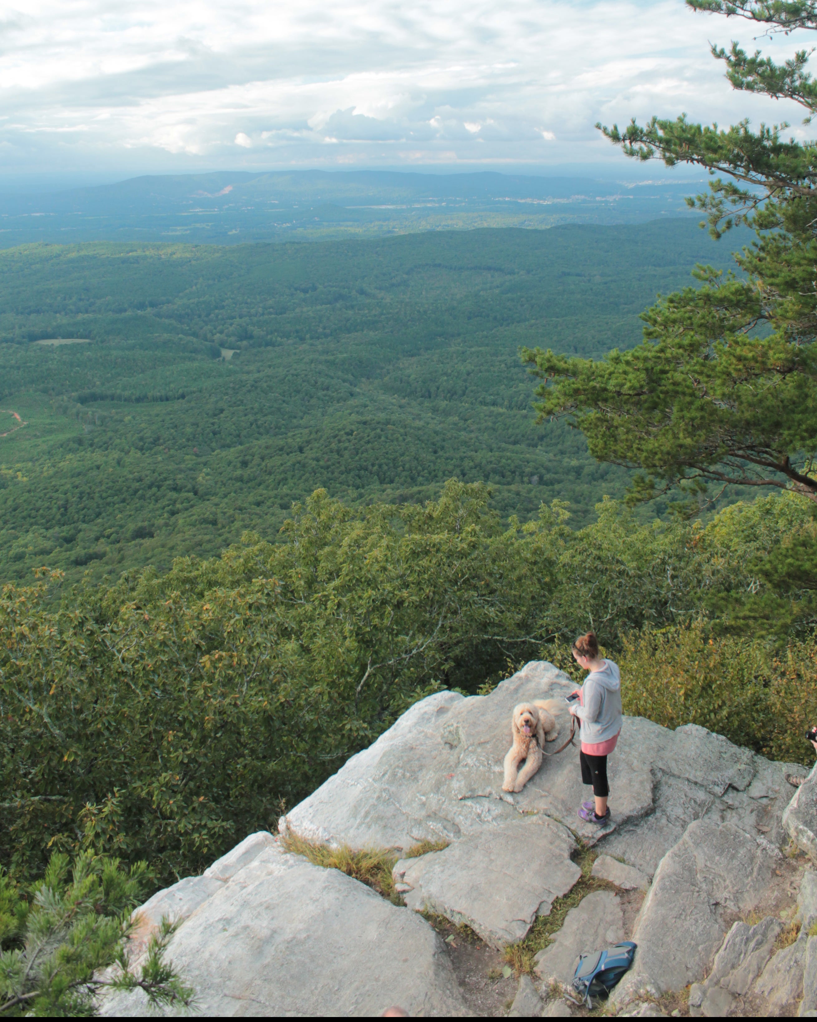 Cheaha-Dog-Friendly_Shannon Renee McDuffie