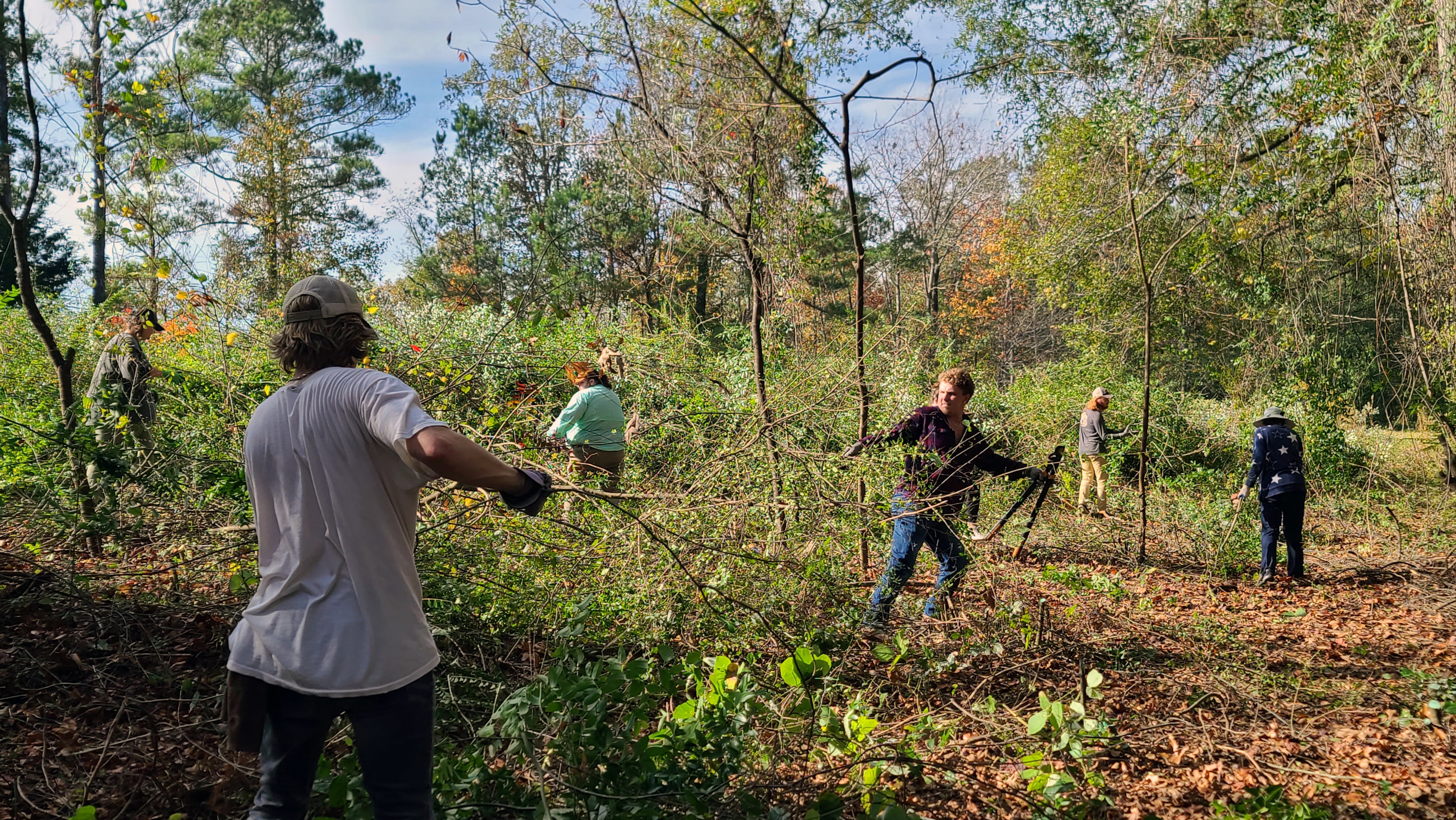 Working Group at Chewacla State Park