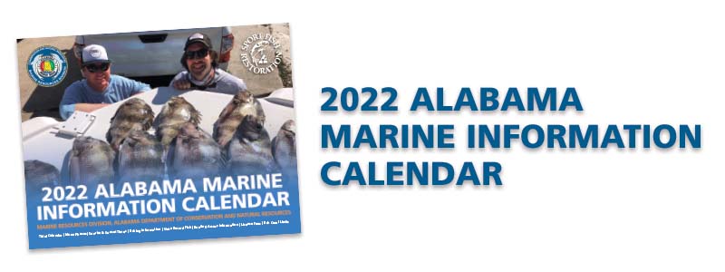 2022 Marine Tide Calendar