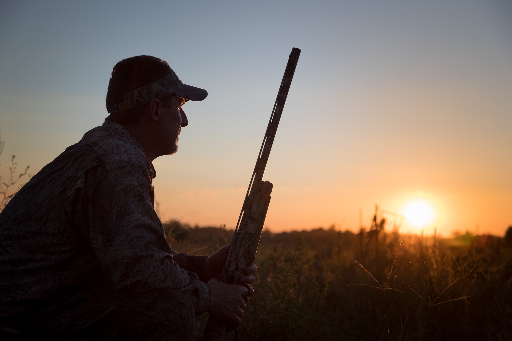 Dove hunting photo by Billy Pope, ADCNR
