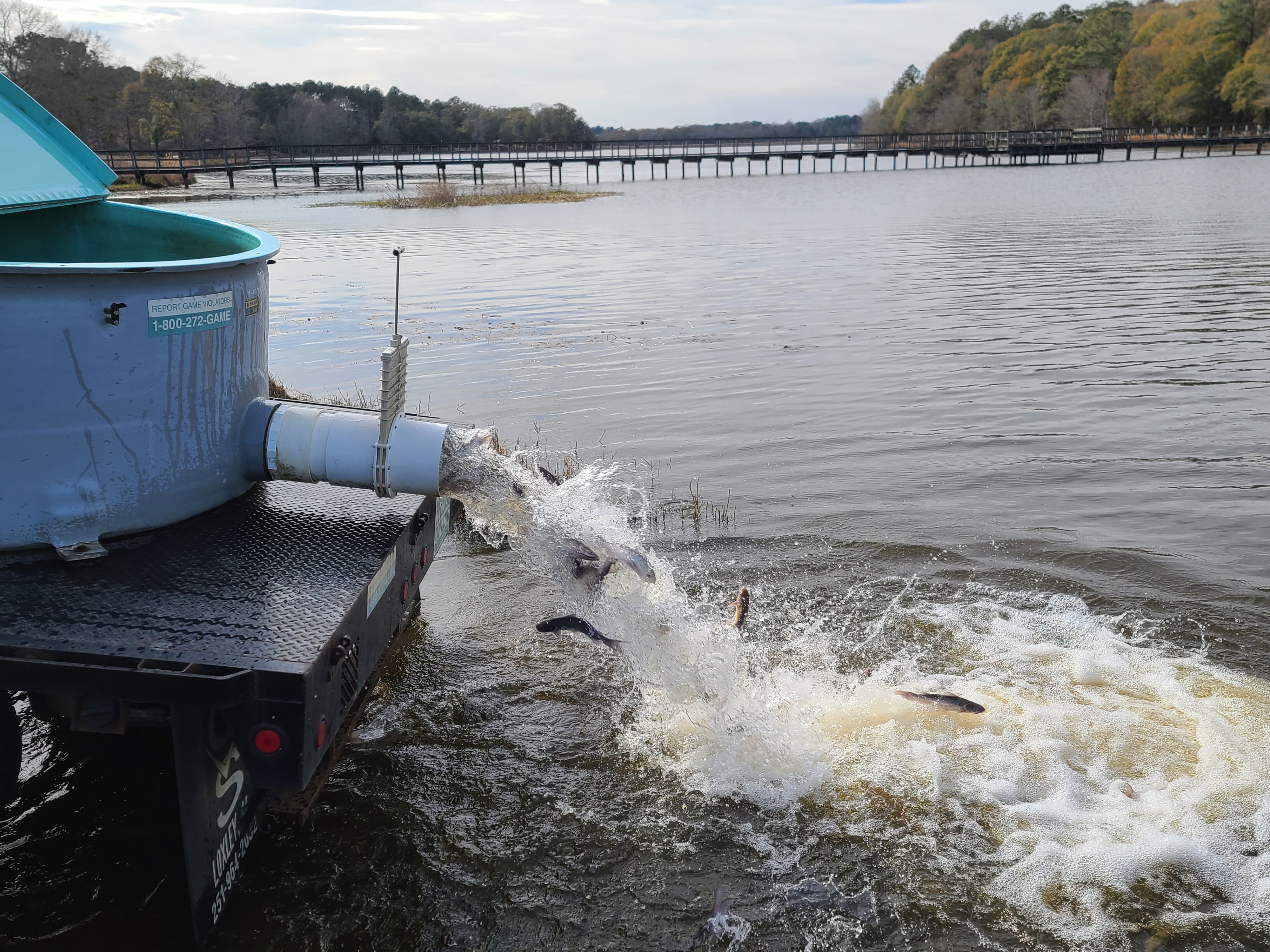 Multi-Year Catfish Project Begins at Frank Jackson State Park
