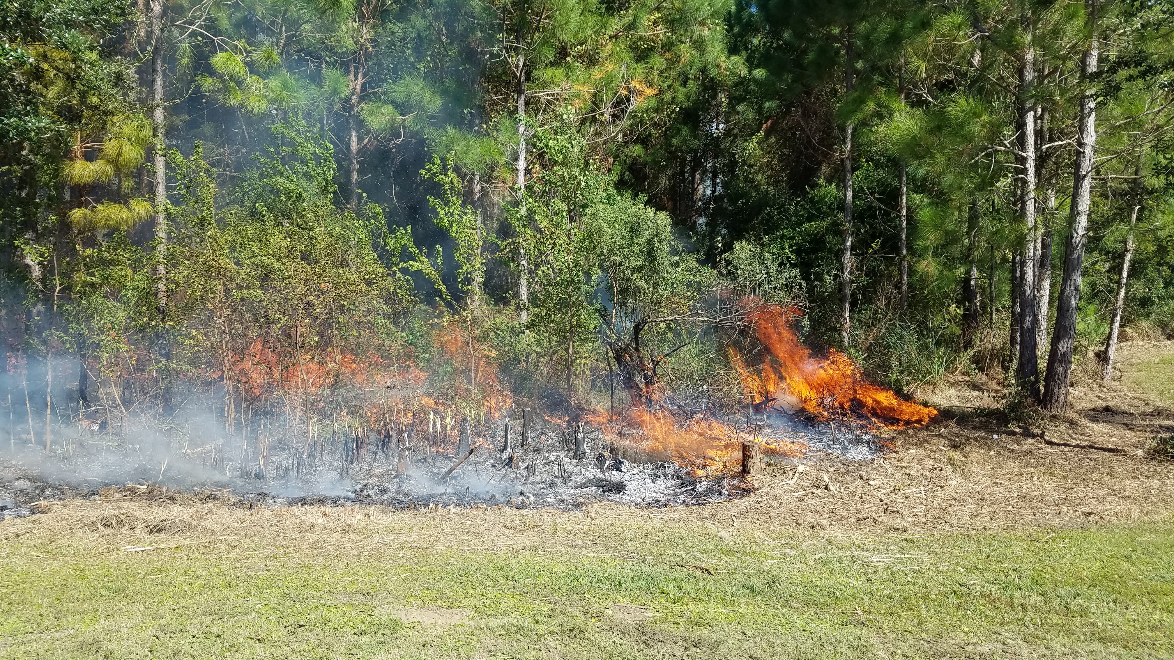 Prescribed fire is an effective way to reduce wildfire risk, reduce fuel loads, enhance wildlife habitat and maintain a healthy forest ecosystem. 