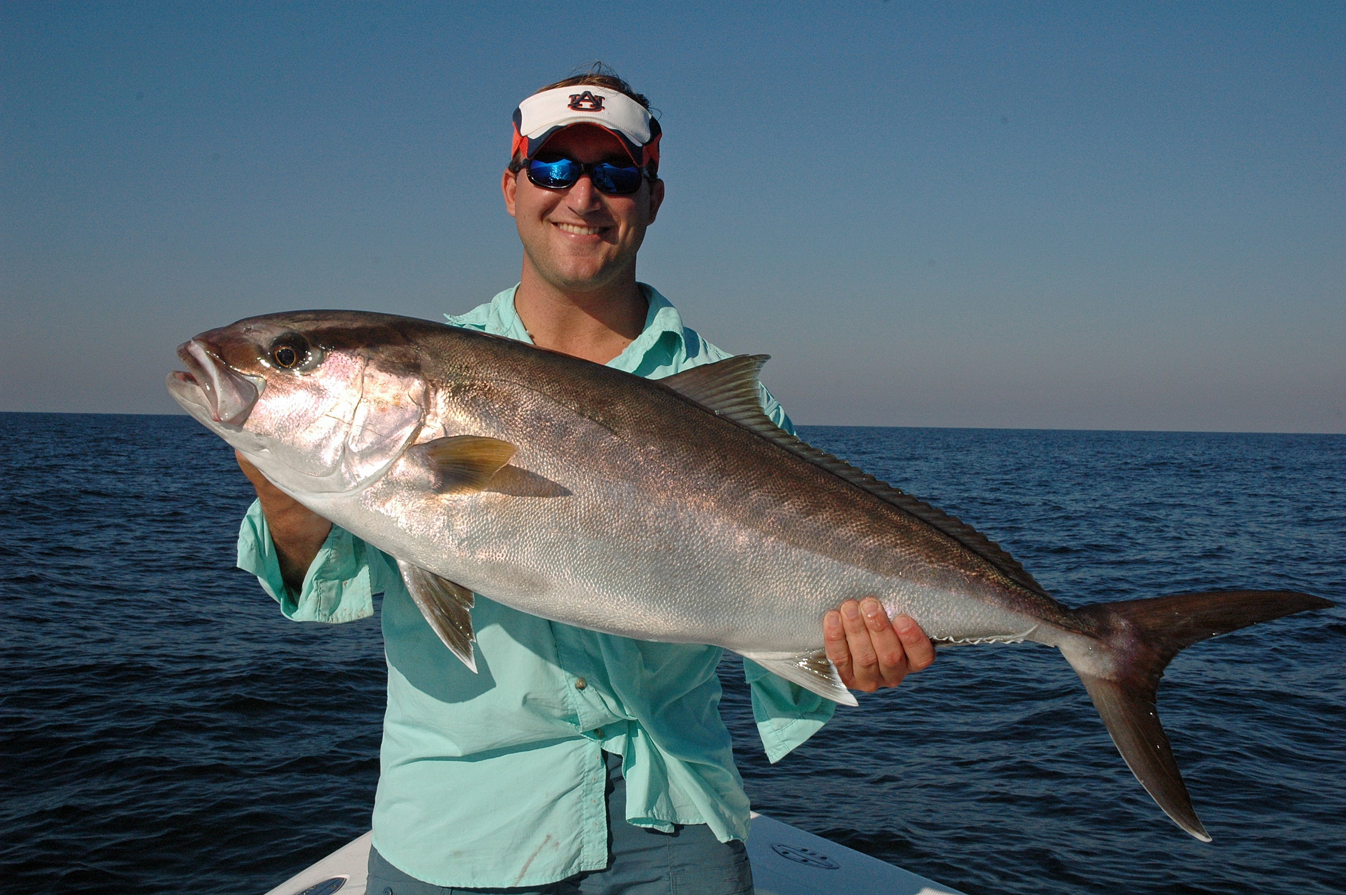 Greater amberjack photo by David Rainer, ADCNR