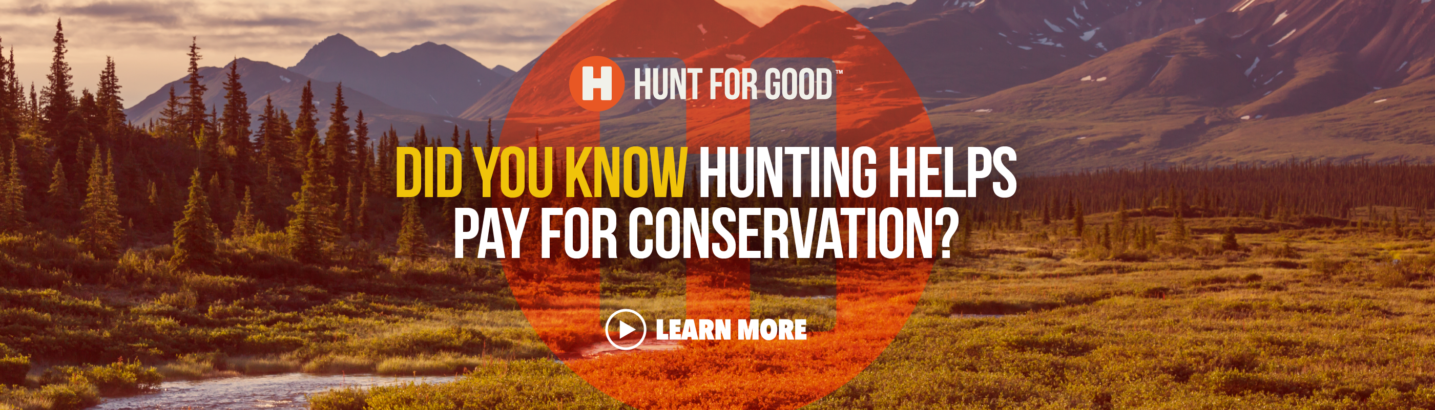 Hunt for good