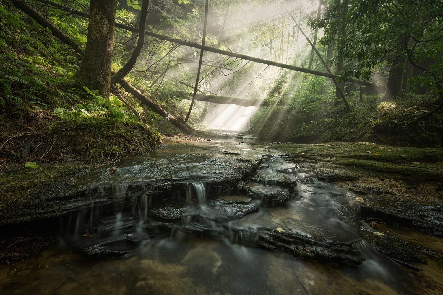 Keith Bozeman took 1st Place in the Scenic Category of the 2021 Outdoor Alabama Photo Contest with his image of Canyon Cascade in the Bankhead National Forest.