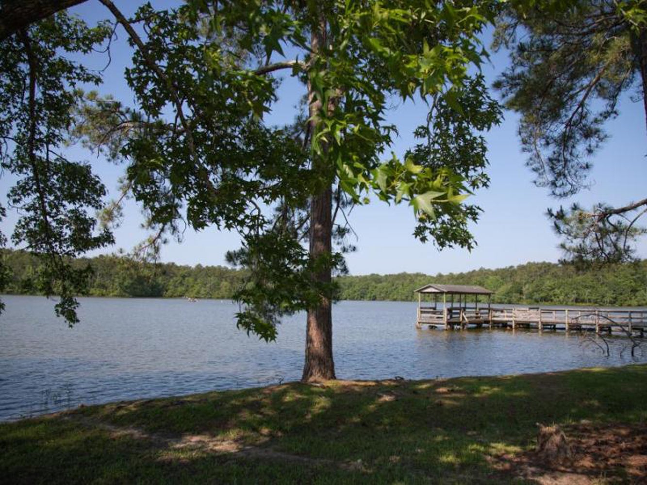 Lee County Public Fishing Lake Reopens March 28