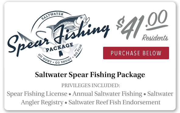 Alabama Saltwater Spear Fishing Package