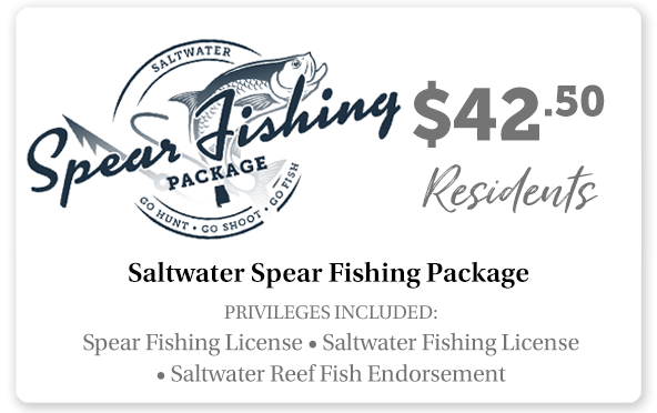 Saltwater Spear Fishing Package