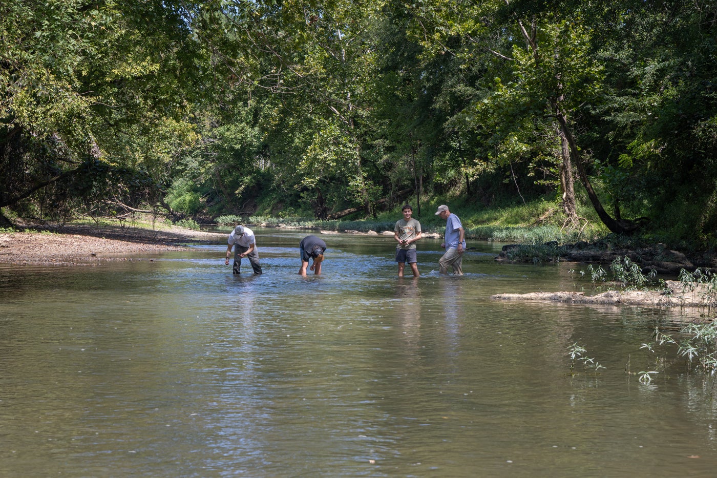 The Paint Rock is one of the most biodiverse watersheds in North America