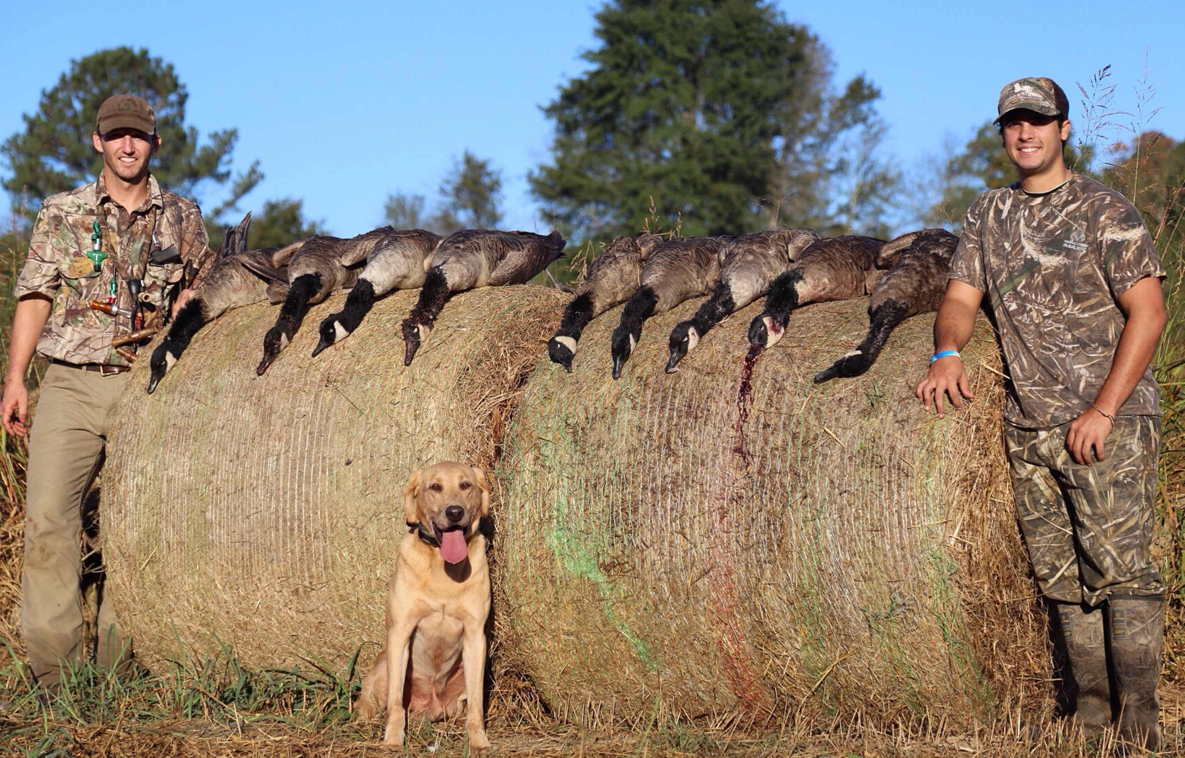 goose hunt
