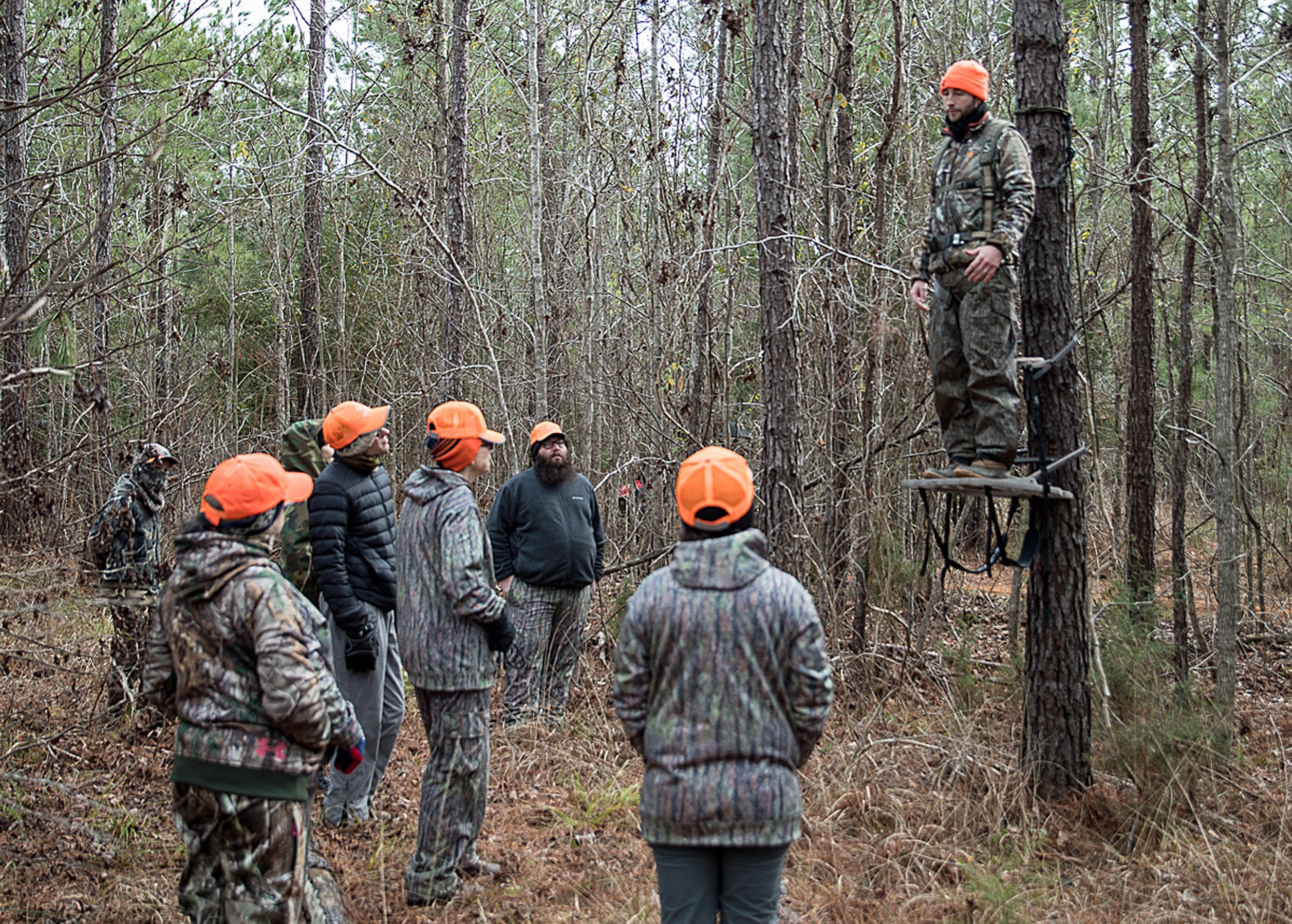 treestand