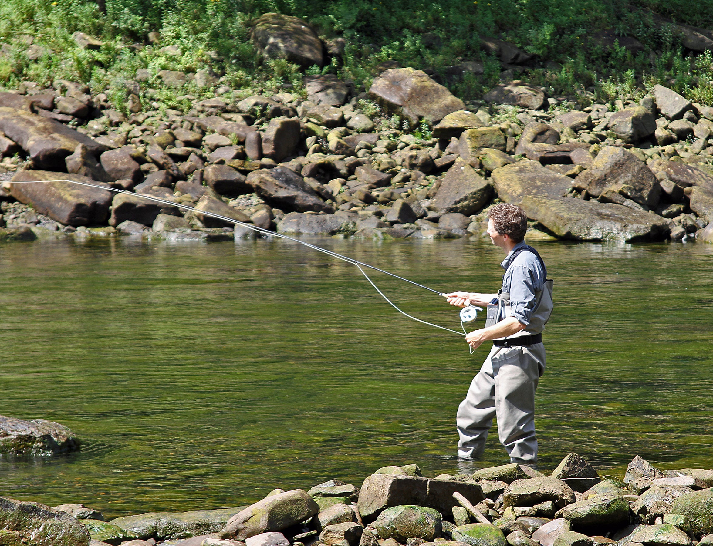 trout
