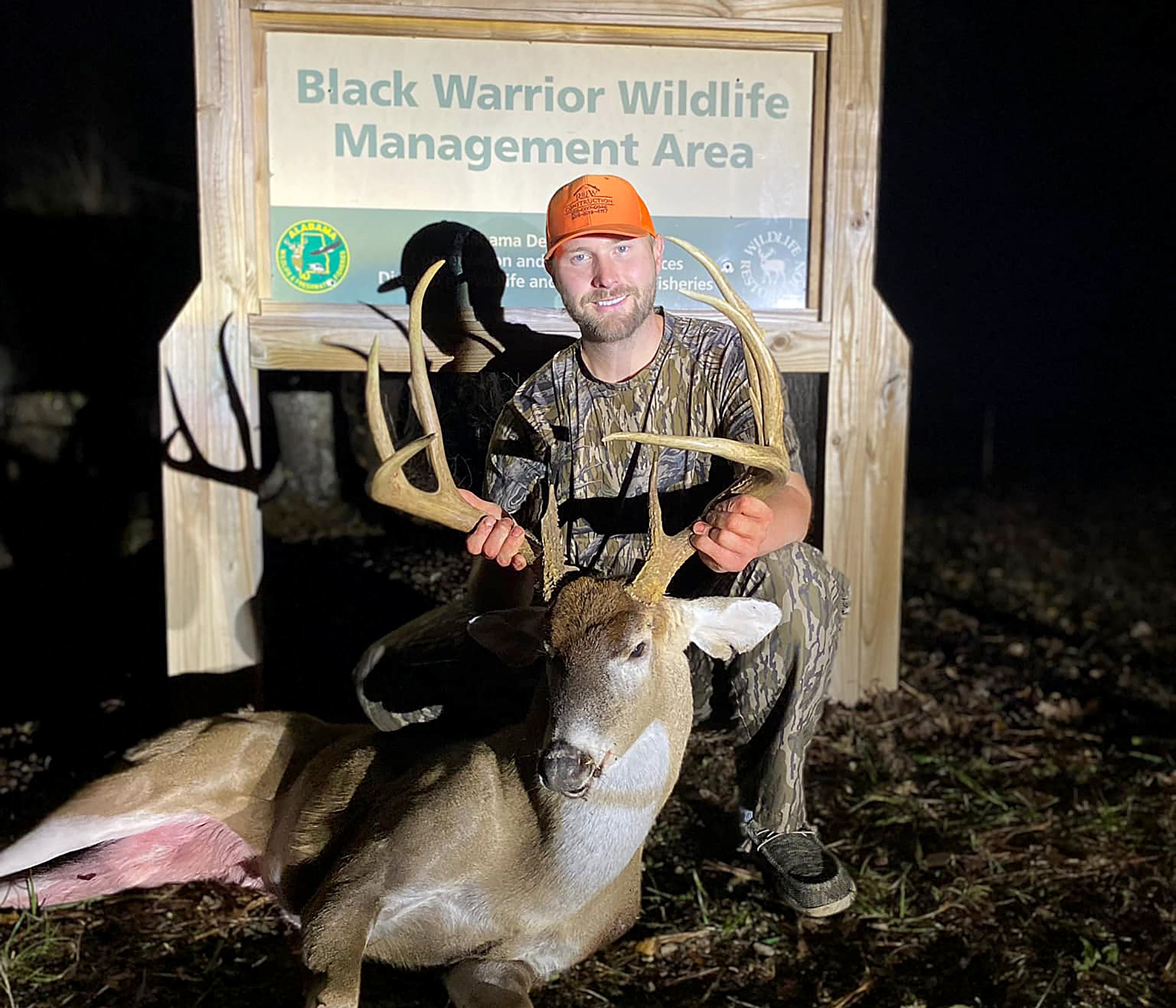 Do Birds Affect Deer Hunting 