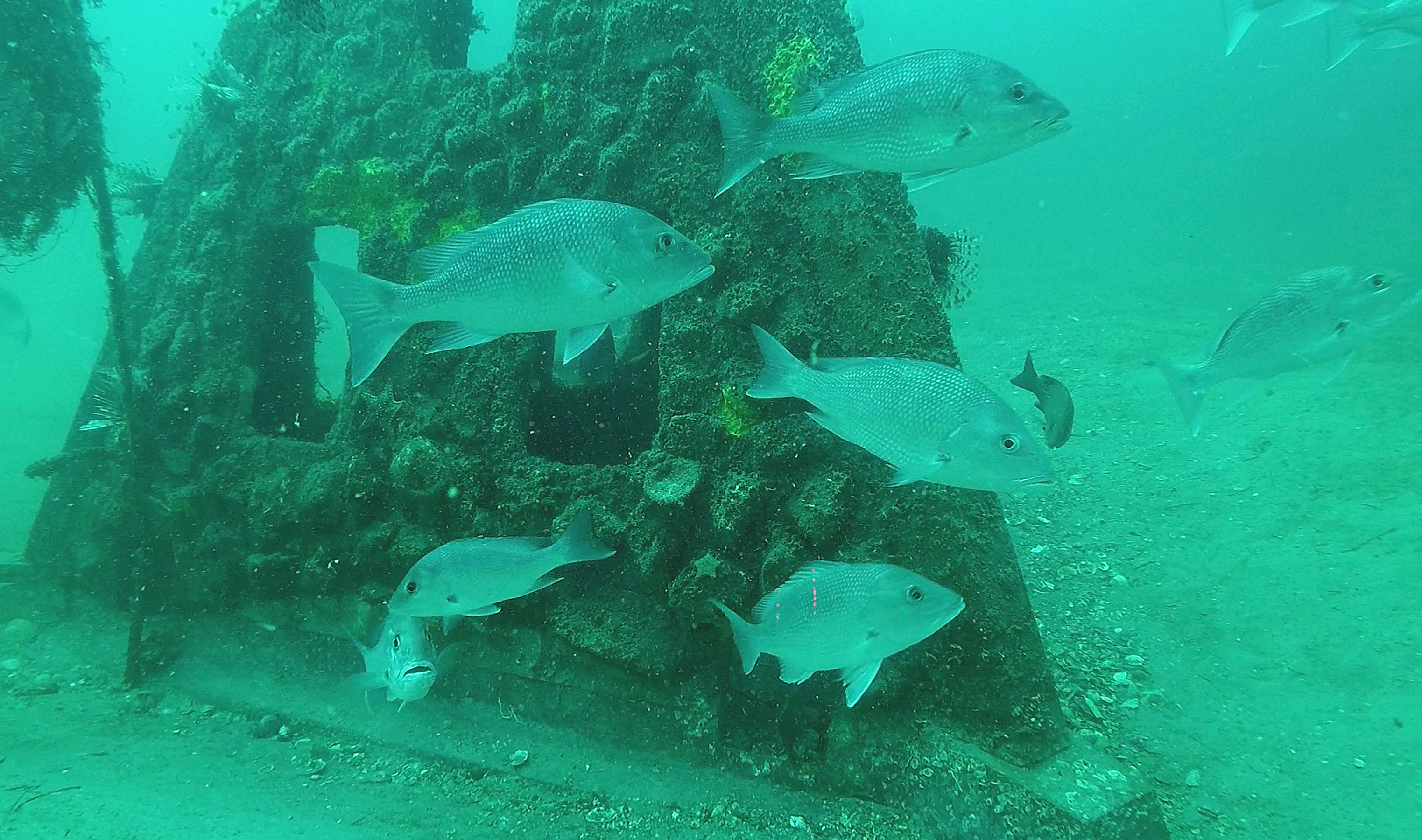 What Happens Underwater During a Hurricane 