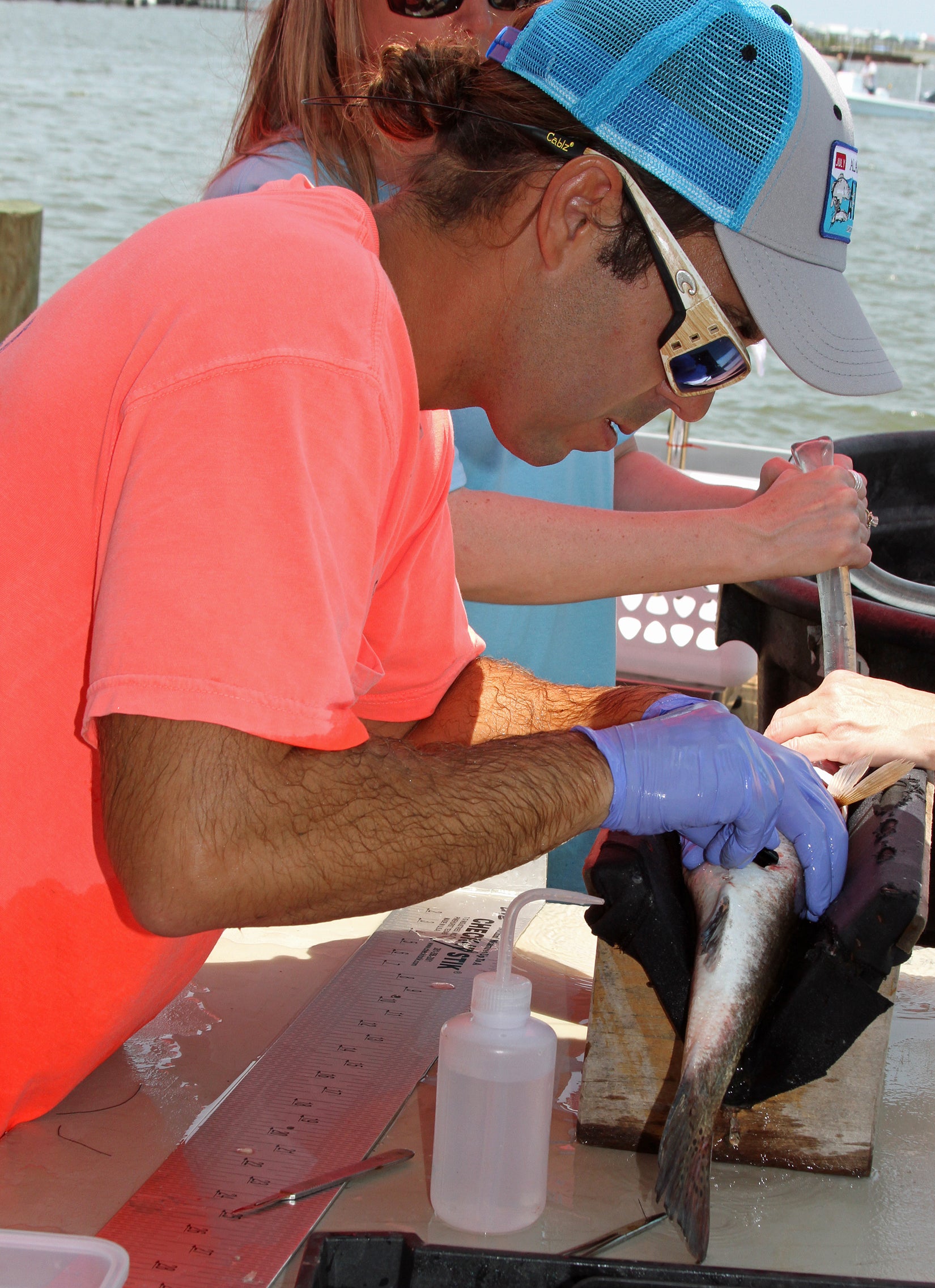 tagging redfish