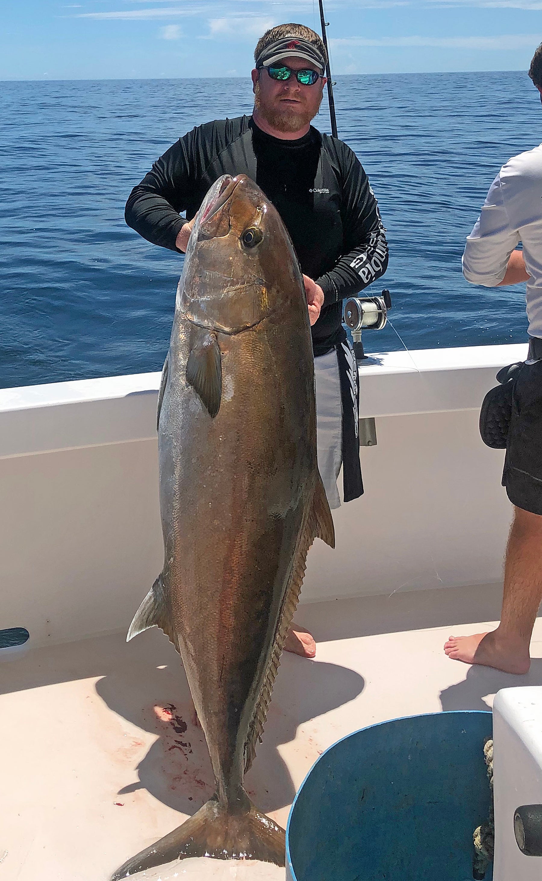 Picture of an amberjack