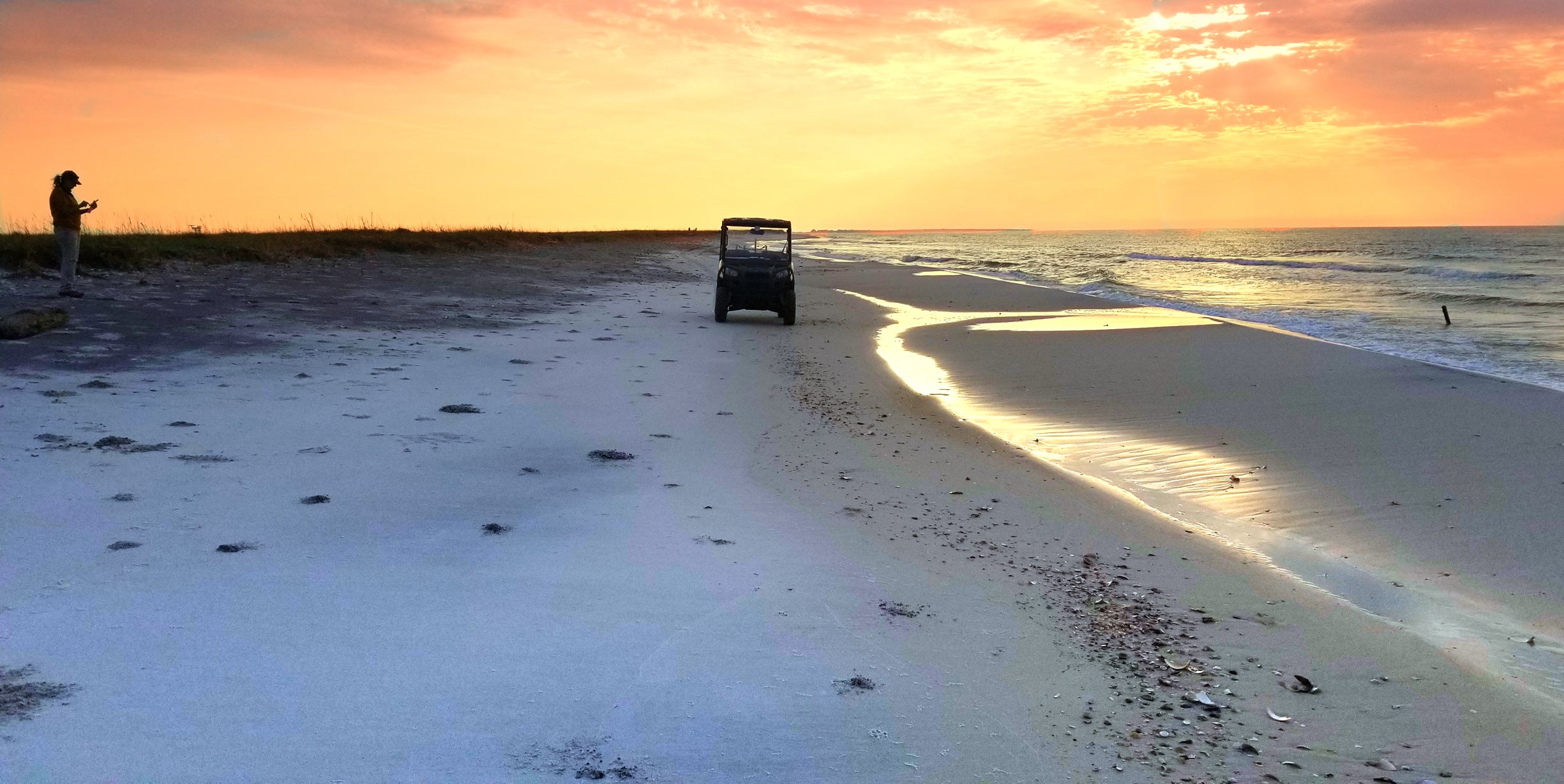 Alabama Audubon staff conduct early morning monitoring activities on Dauphin Island earlier this year - Credit, Drew Heffenden