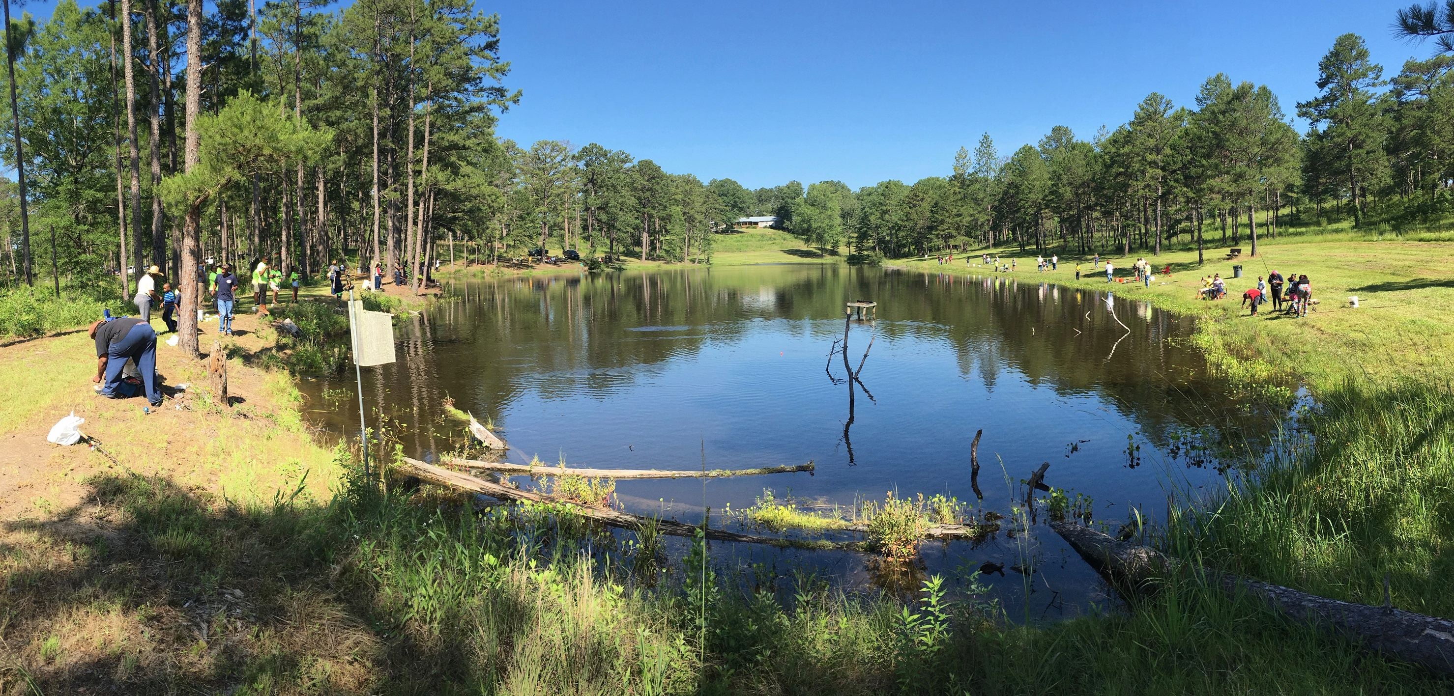 Camping, Open Trails and Fishing at the Forever Wild Wehle Tract