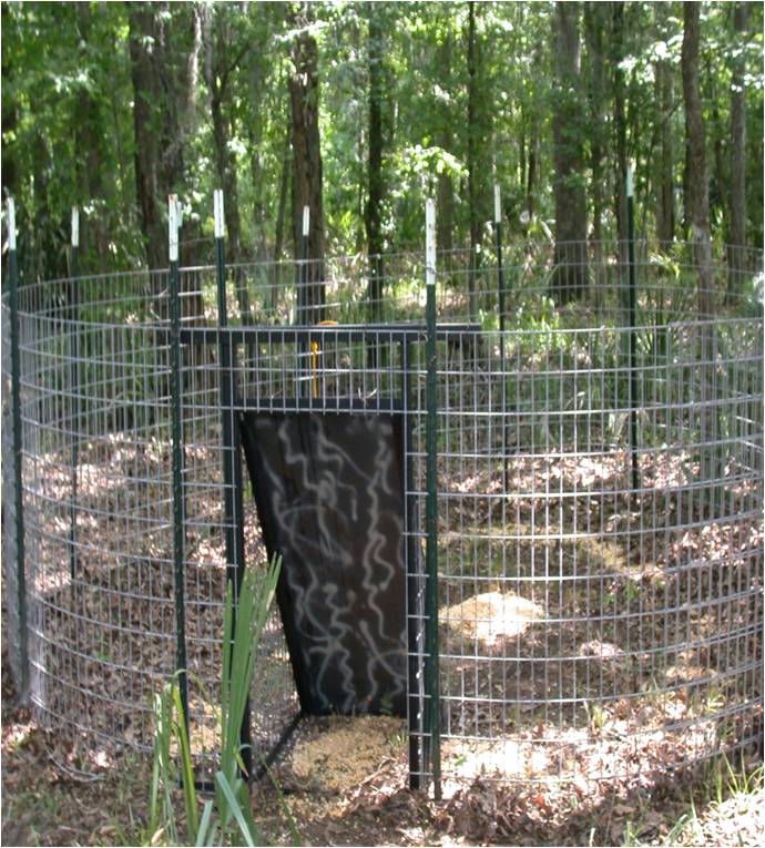 hog trap