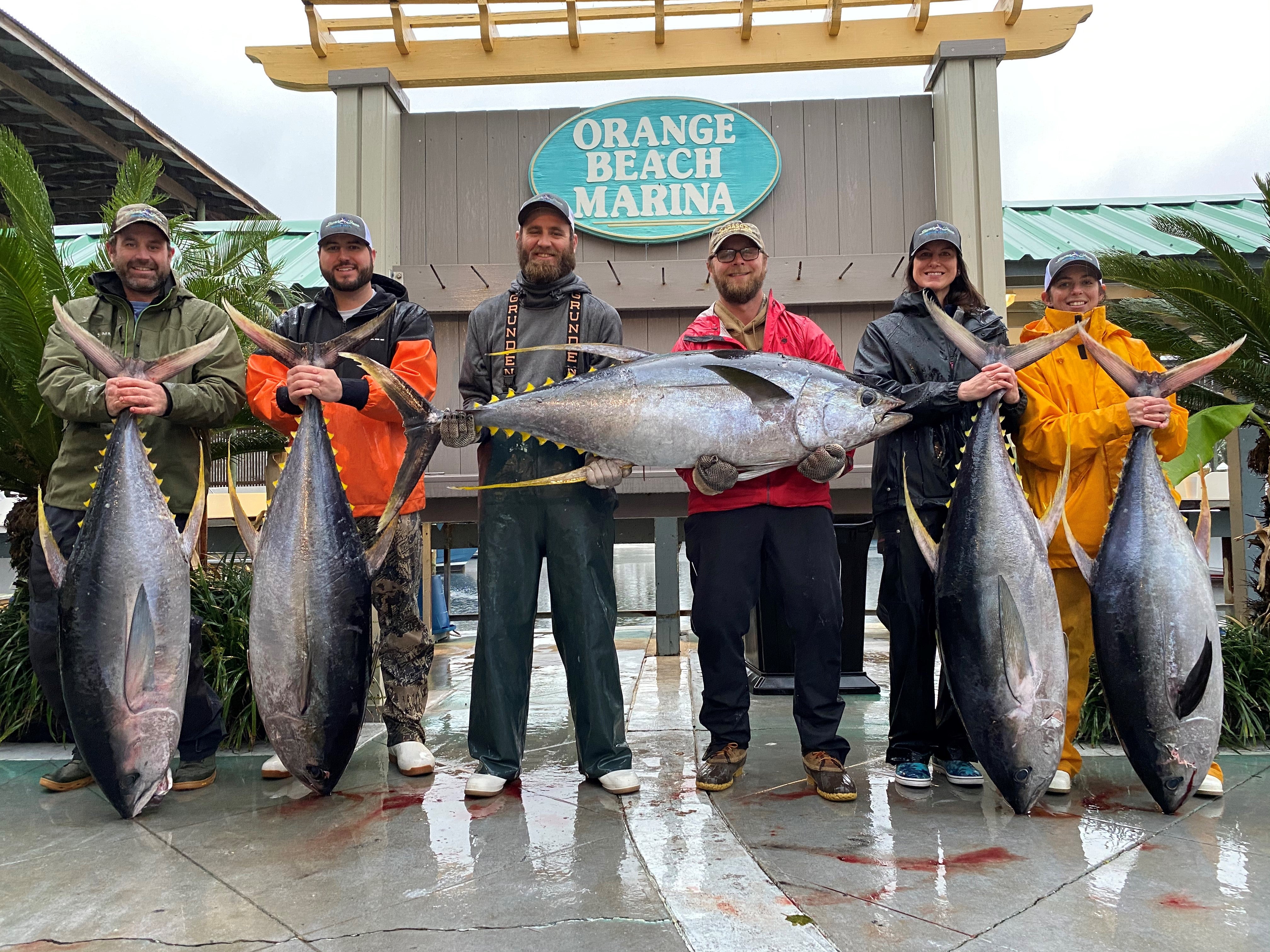 Yellowfin tuna photo by Chris Head