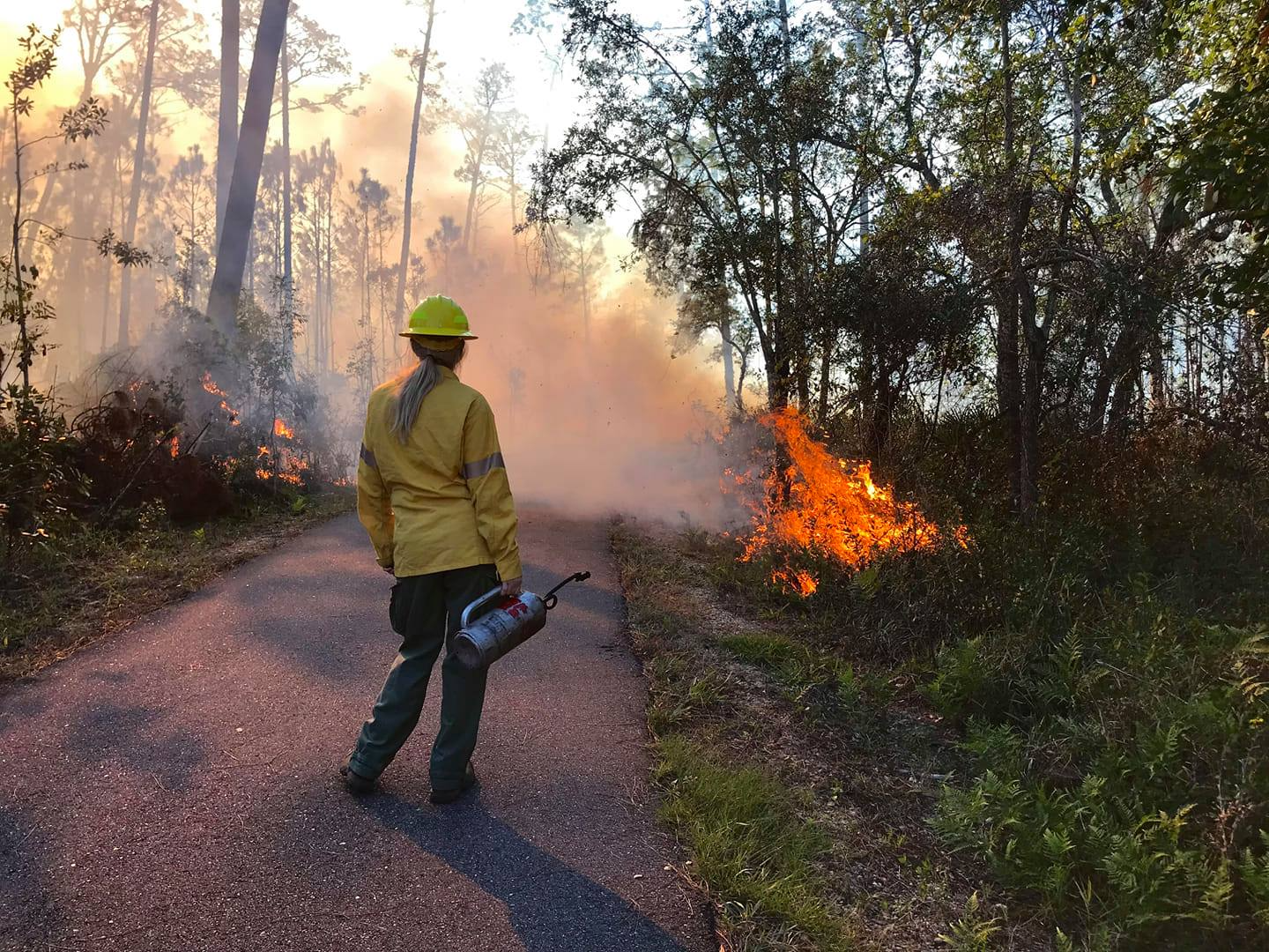 Tasha Simon, Chief of the Natural Resources Section for ADCNR's State Parks Division, assisting with a prescribed fire at Gulf State Park.