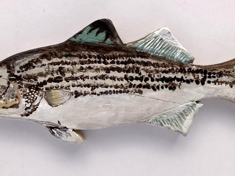 Fish Art Contest Project