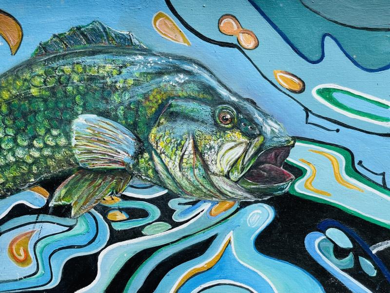 Fish Art Contest Project