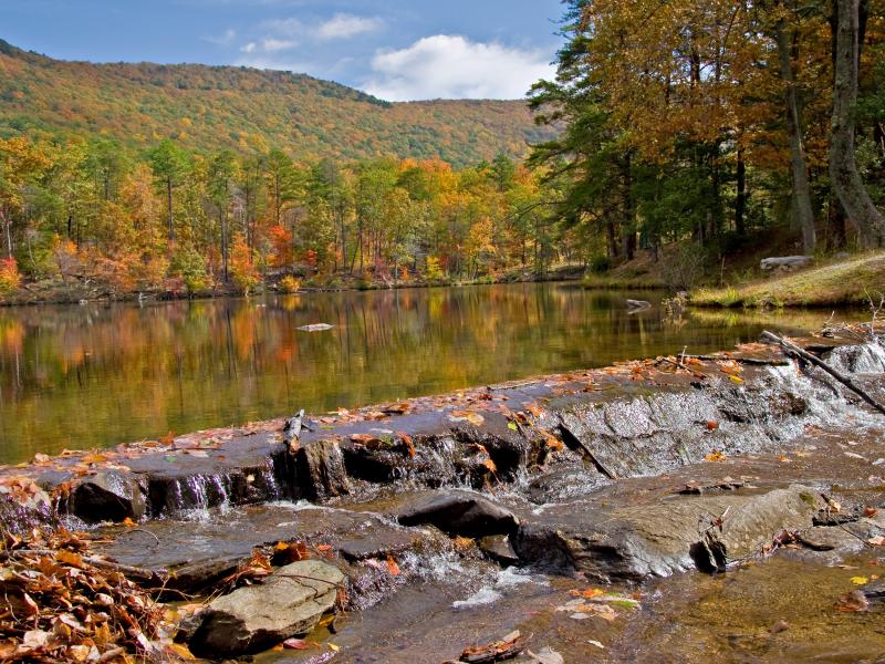 Fall Color on Display at Alabama's State Parks