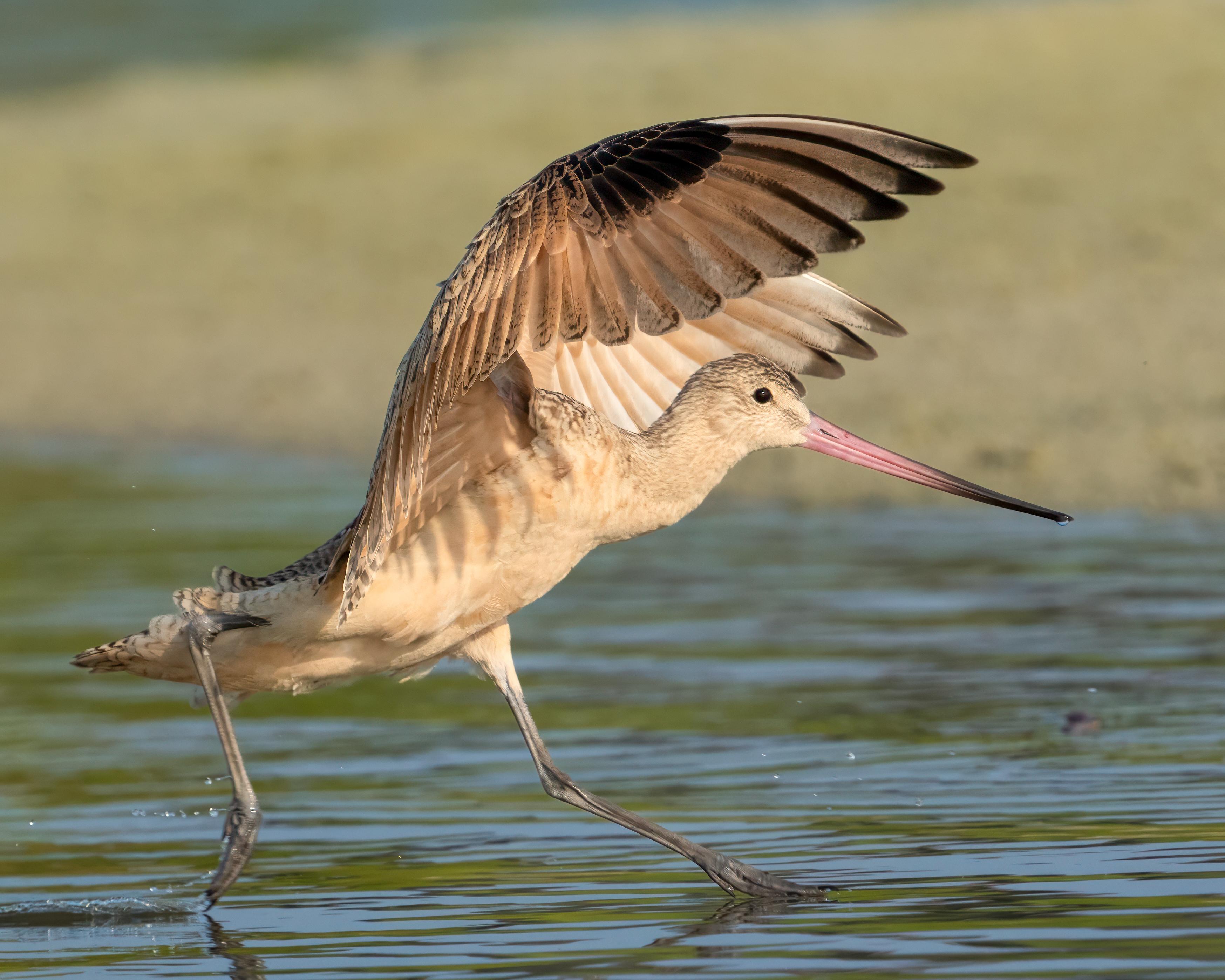 Outdoor Alabama Photo Contest Exhibition Opens in Montgomery on July 6