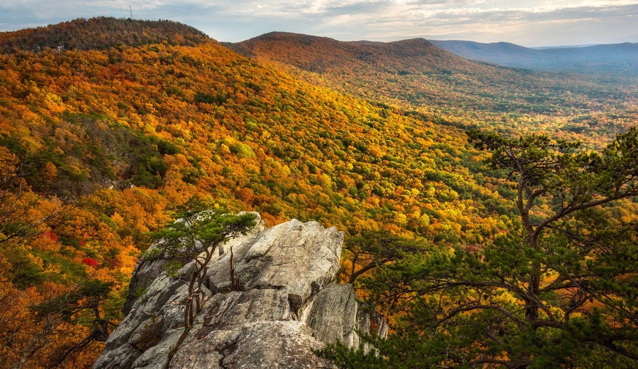 The view from Cheaha State Park, at Alabama’s highest point, offers gorgeous fall foliage viewing. (Keith Bozeman |