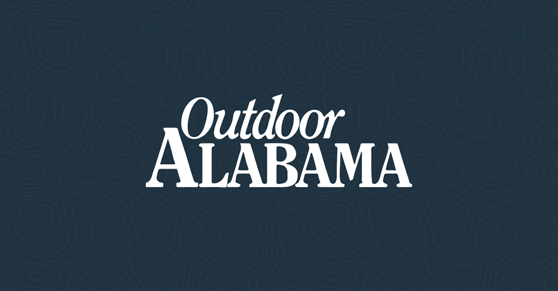 Alabama Snake Species: Unveiling the Diverse and Fascinating World of Snakes in the Heart of Dixie